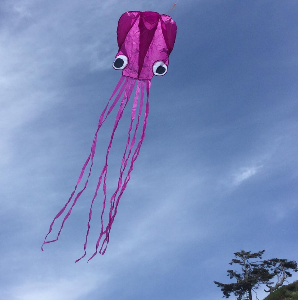 13ft pocket octopus purple