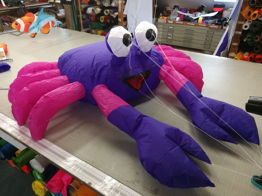 bouncing crab purple